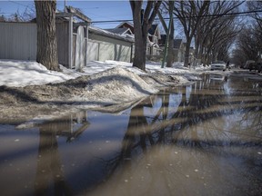 Rapidly warming temperatures are producing myriad puddles. The province is concerned it could lead to ice jams on some rivers, resulting in localized flooding.