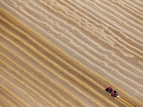 Russia's invasion of Ukraine is hindering shipments from one of the world's vital breadbaskets, leaving grain importers scouring for supplies elsewhere.