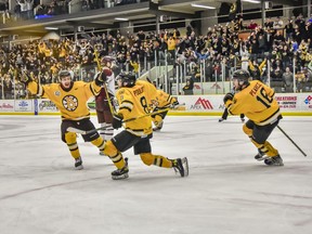 Olivier Pouliot (8) of the Estevan Bruins celebrates his overtime goal Saturday in Game 5 of the SJHL's championship series at Affinity Place. Also shown are Alex Von Sprecken (left) and Regina-born Eric Pearce (right).