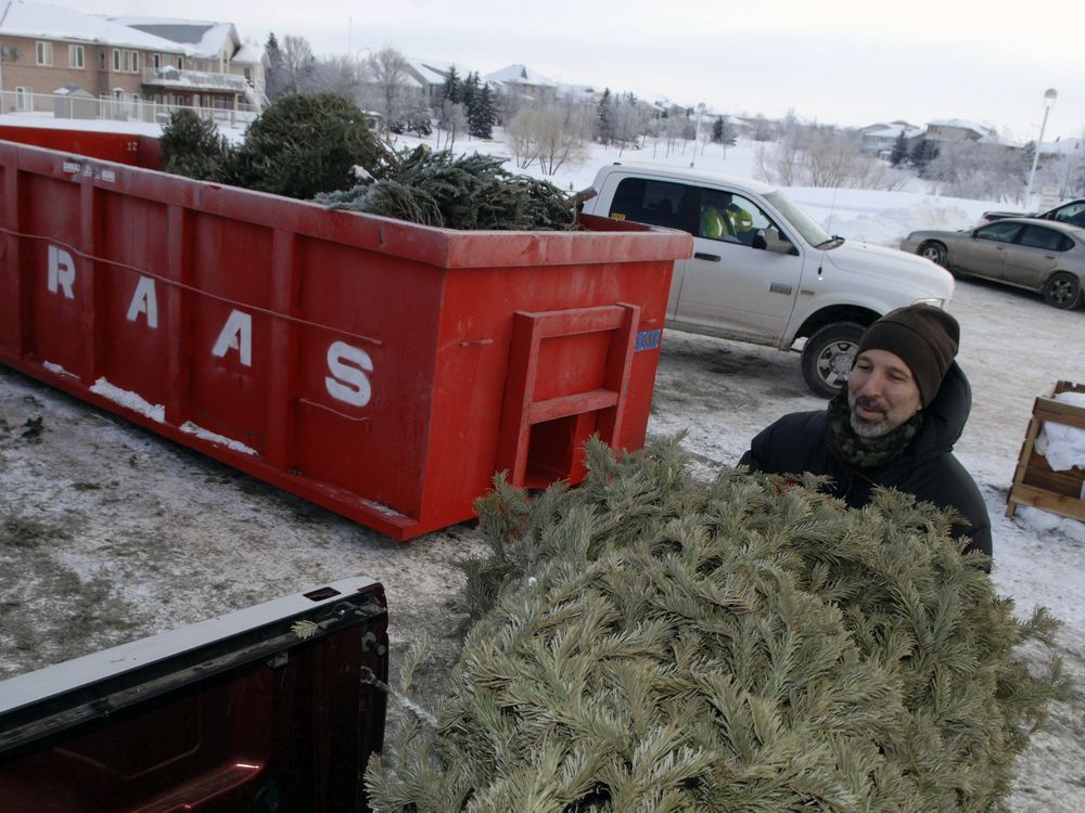 LeaderPost letters Bring back neighbourhood tree depots Toronto Sun
