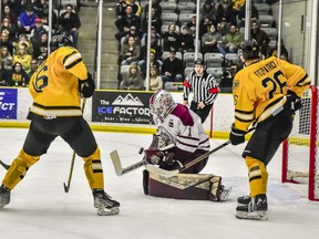 Flin Flon Bombers goalie Cal Schell, shown Saturday against the host Estevan Bruins, made 33 saves Tuesday to backstop his team to a 6-1 victory and force a seventh and deciding game of the SJHL's championship series.