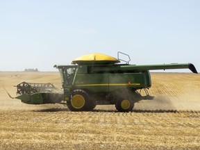 A pair of combines harvest a field just north of the city on Thursday, August 12, 2021. Saskatchewan's crop report suggests seeding is up 33 per cent over last week's report but progress is still lagging behind the five year average for this time of year.