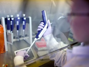 A microbiologist tests samples.