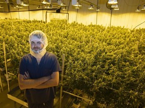 Alex Kratz, CEO at Western Cannabis, stands inside the company grow room. Kratz spoke about the growing pains and changes in the industry in recent years.