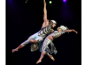 Cirque du Soleil's OVO is coming to Brandt Centre from July 21 to 24.