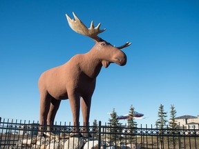 Federal representatives paid a visit to Moose Jaw on Thursday to highlight funding to help newcomers settling in small and rural communities across the Prairies. Shown here, is Moose Jaw's Mac the Moose from November 2019.