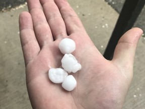 A file image shows hailstones that fell in Saskatoon on June 5, 2017,