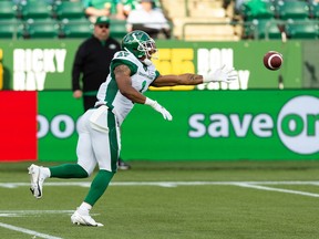 Edmonton Elks mark return to CFL play with free t-shirt giveaways, cheap  eats 