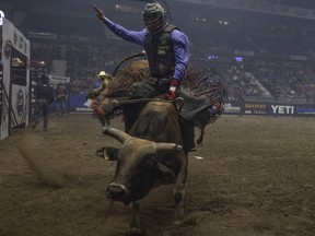 Bull rider Brock Bradford holds on as he gets bucked off during PBR Canada Cup Series action at the Brandt Centre on Wednesday, June 22, 2022 in Regina.