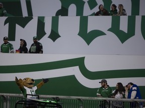 Gainer the Gopher celebrates a Saskatchewan Roughriders touchdown with fans at Mosaic Stadium's Pilsner Place.