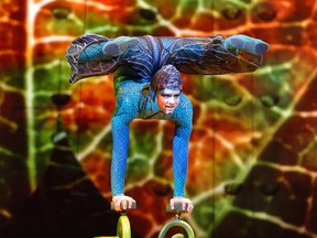 A dragonfly performs hand balancing during the opening moments of Cirque du Soleil' OVO in London, Ontario on June 14, 2017. Photo by MORRIS LAMONT/THE LONDON FREE PRESS.