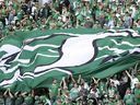 Penggemar Saskatchewan Roughriders merayakan selama aksi CFL babak kedua di Stadion Mosaic pada hari Sabtu, 2 Juli.