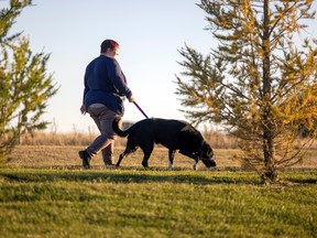 Jessica Irvine and her 8-year-old black lab Ginny walk in a park near their home on Wednesday, September 21, 2022 in Regina.