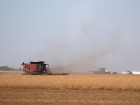 A combine harvests a field next to highway 6 on Friday, September 2, 2022 south of Regina.
