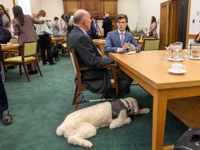 Online News Robin East, chair and founder Barrier Free Saskatchewan, speaks with the Leader-Post about Accessible Saskatchewan Act presented at the Legislative Building on Wednesday, November 16, 2022 in Regina.