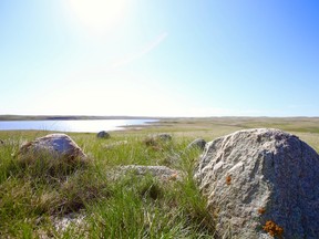 Cameron Wood: Padang rumput Saskatchewan di antara ekosistem yang paling terancam