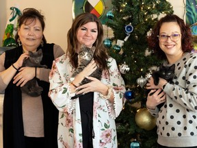 Local women's shelters have evolved into a pet-friendly environment, as is evident by a visit to SOFIA House. Three of the shelter's employees — left to right: Maddie Sanderson (Indigenous relations manager), Tmira Marchment (executive director) and Courtney Lavalley (children's program co-ordinator) — are shown with some kittens at SOFIA House earlier this week.
