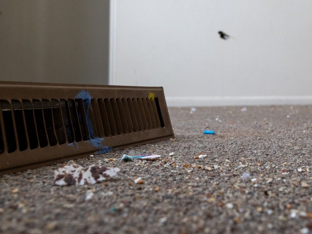 mandryk: social housing shortage worst time for mismanaging shc units