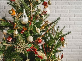 A Christmas tree is pictured in a file photo.