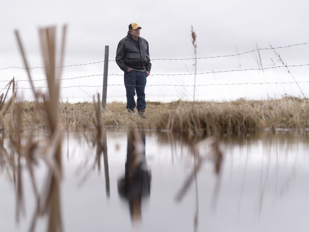 Saskatchewan.  les propriétaires fonciers luttent contre le drainage illégal emportant les terres, les routes
