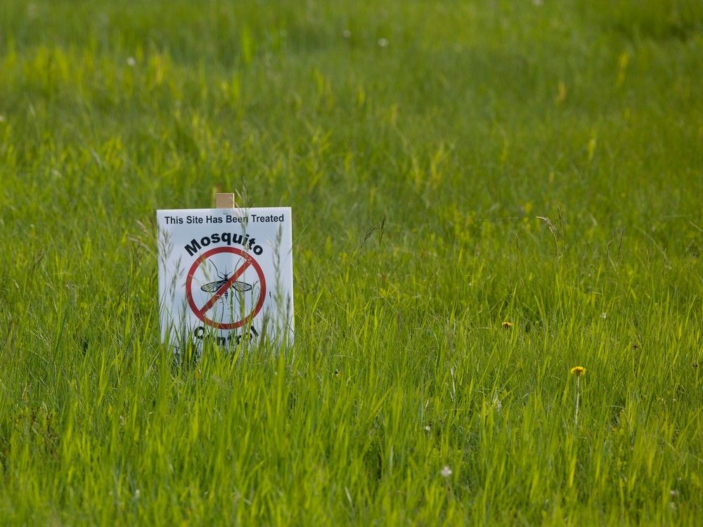 Executive committee votes down expanding city pesticide ban - Vimarsana News