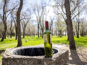 alcohol in city parks