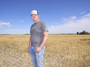 Farmer Sean Stanford poses in his wheat field near Magrath, Alta. on Tuesday, July 25, 2023. Stanford's wheat farm just south of Lethbridge, Alta. could have been struggling amid a dry spring and summer. But Stanford is growing crops, thanks to a series of small sprinklers, attached to a large pipe and powered by an electric motor that disperse water from a nearby irrigation canal over some of his fields.