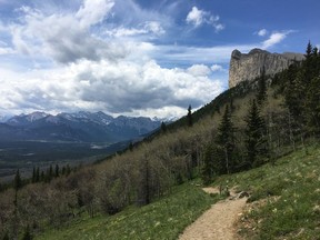 The hiking trail on Yamnuska, in Alberta's Bow Valley Wildland Provincial Park, part of Kananaskis Country, is shown in June 2017.