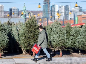 Christmas trees at a market in Montreal.