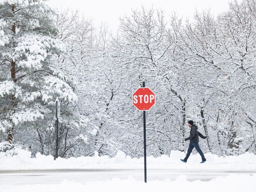 Regina weather More sun and wind gusts throughout the day Regina Leader Post