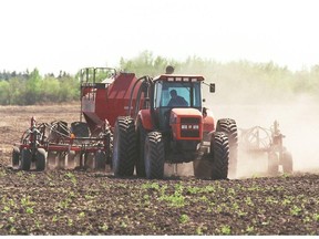 An Alberta farmer plants wheat with his zero till air seeder in this file photo.