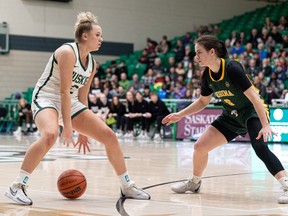 Cougars basketball