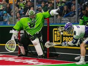 Saskatchewan Rush goalie Frank Scigliano, left, defends the goalpost during the first half of National Lacrosse League action against Panther City Lacrosse Club at SaskTel Centre in Saskatoon, Sask. on Saturday, February 3, 2024.
