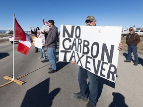 Politics tamfitronics carbon tax