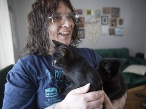 Cat foster parent hold her two black kittens