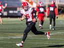 Calgary Stampeders quarterback Tommy Stevens is seen during practice at McMahon Stadium on Thursday, October 24, 2024.