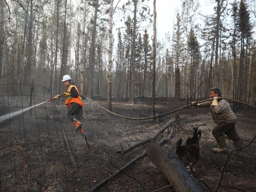 Saskatchewan Premier Scott Moe says two people charged with starting wildfires