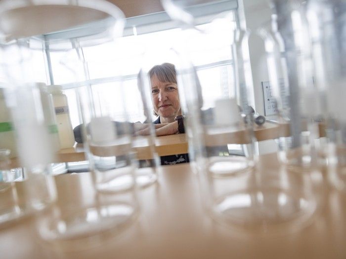 Draining wetlands creates $171 million worth of annual carbon emissions: Sask. study