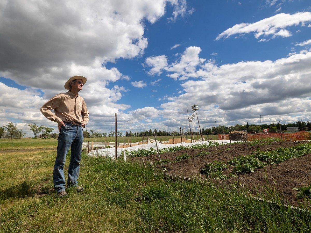 South community gardens in search of new home as U of R eyes development