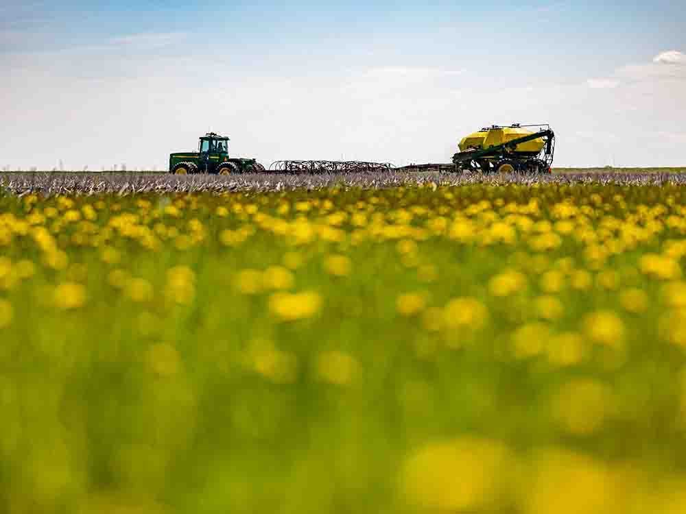 A farmer in Saskatchewan seeds wheat in 2024 on his 2,000 acres of land.