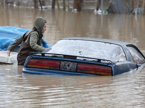 Amber Hawkins checks out a nearly submerged car parked behind a downtown Chatham home along the Thames River Friday. (DAN JANISSE/The Windsor Star)