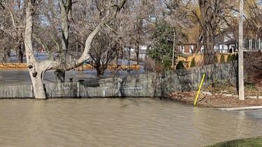 Floodwaters from the Thames River covers the backyards of several William Street North homes in Chatham, Ont. on Sunday February 25, 2018. Ellwood Shreve/Chatham Daily News/Postmedia Network ORG XMIT: POS1802251418178413
