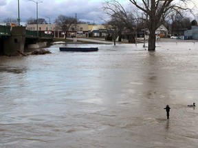 The level of the Thames River rose again overnight and the water is moving fast. This photo is taken at the Third Street Bridge in Chatham, Ont. on Sunday February 25, 2018. Ellwood Shreve/Chatham Daily News/Postmedia Network