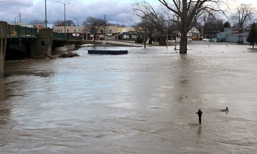 The level of the Thames River rose again overnight and the water is moving fast. This photo is taken at the Third Street Bridge in Chatham, Ont. on Sunday February 25, 2018. (Ellwood Shreve/Postmedia News)