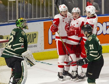 Zack Trott is swarmed by Sault Ste. Marie Greyhounds teammates Brett Jacklin, left, and Joe Carroll after scoring on London Knights goaltender Joseph Raaymakers as Knights centre Dalton Duhart looks on in the third period of their OHL game Sunday. (DEREK RUTTAN, The London Free Press)