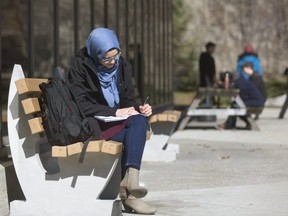 Fattimah Hamam, 21 of London, a fourth-year anthropology student checks her schedule Monday on the concrete beach outside the UCC at Western University in London. “Sunshine is super important, both for the vitamins and psychologically,” Hamam said about the bright sunshine, adding with a laugh: “It’s my main source of energy.” (MIKE HENSEN, The London Free Press)