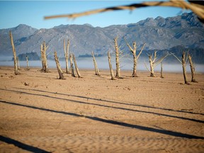A picture taken on May 10, 2017 shows bare sand and dried tree trunks standing out at Theewaterskloof Dam, which has less than 20% of it's water capacity, near Villiersdorp, about 108km from Cape Town. (Files)