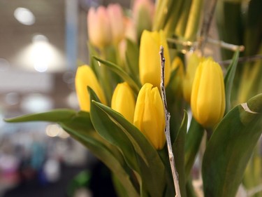 Canada Blooms at the Enercare Centre in Toronto. (Dave Abel/Postmedia Network)