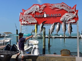 The day's catch includes mahi mahi and tuna for a fishing charter just in from the Atlantic Ocean at the Faro Blanco Resort and Yacht Club in Marathon, Fla. 
WAYNE NEWTON
SPECIAL TO POSTMEDIA NEWS