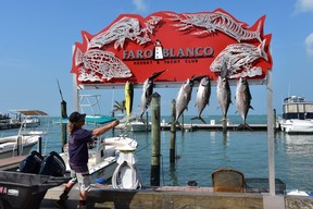 The day's catch includes mahi mahi and tuna for a fishing charter just in from the Atlantic Ocean at the Faro Blanco Resort and Yacht Club in Marathon, Fla. 
WAYNE NEWTON
SPECIAL TO POSTMEDIA NEWS